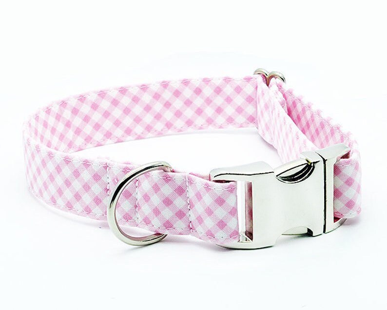 Female Dog Collar Puppy Collar Girl Small Dog Collar Girl Etsy