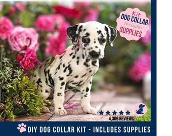 DIY Dog Collar Sewing Pattern and Kit, Dog Collar Kit - Includes Hardware, pdf Sewing Pattern, Dog Collar Supplies  - Makes 5 Collars