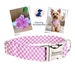 see more listings in the Dog Collars section