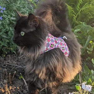 Kitten Harness, Purple Cat Harness Escape Proof, Cat Vest, Cat Clothes, Cat Walking Harness