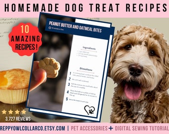 Homemade Dog Treat Recipes, How to Make Biscuits for Dogs