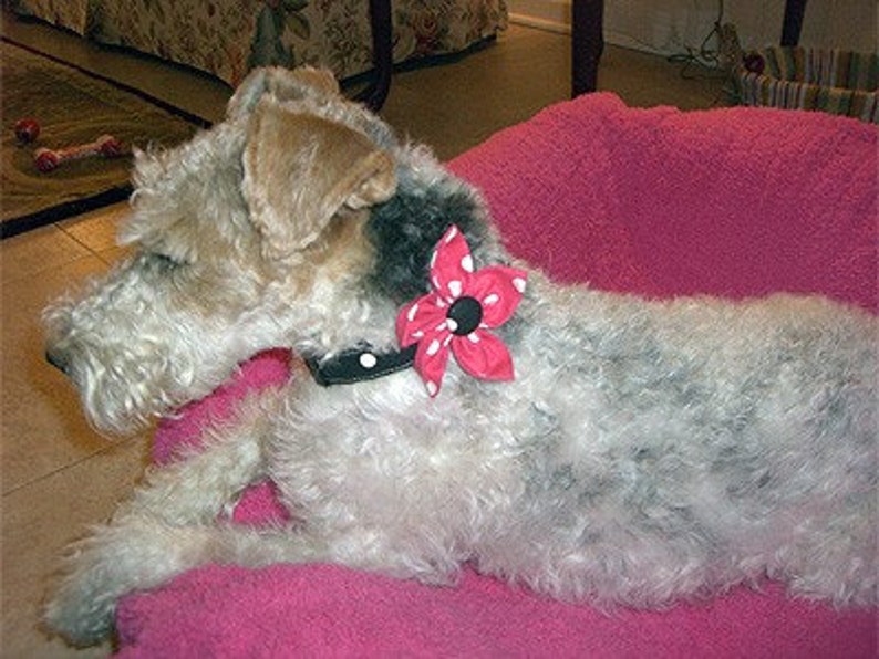 Make Fabric Flowers for Dog Collars Easy-to-Follow Illustrated Tutorial Dog Collar Add On Instant Download Collar Flower