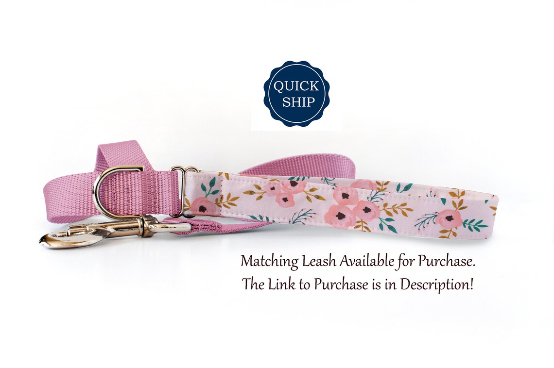 Dog Collar Personalized Dog Collar Girl Small Puppy Dog Etsy