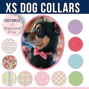Tiny Dog Collar, Teacup Dog Collar, Thin Dog Collar, Spring Dog Collar, Cute Dog Collar - FREE Removeable Bow Included