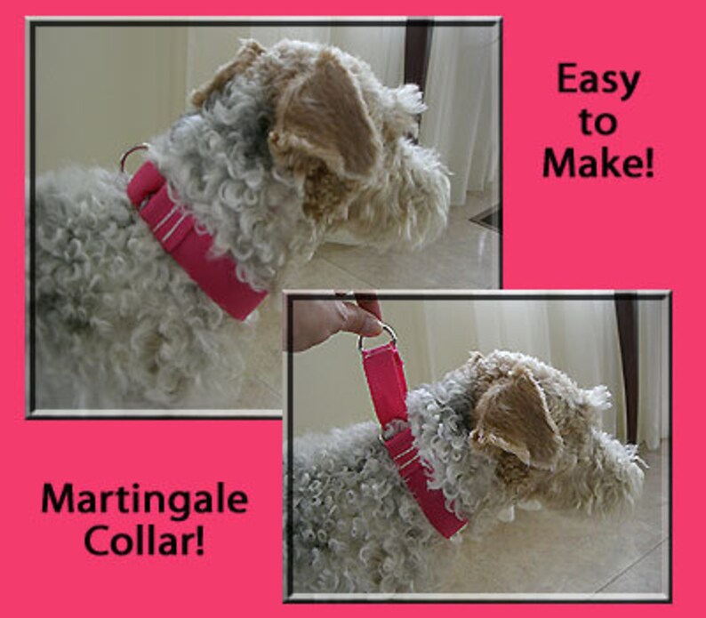 Martingale Dog Collar Instant Download Instructional Guide Etsy