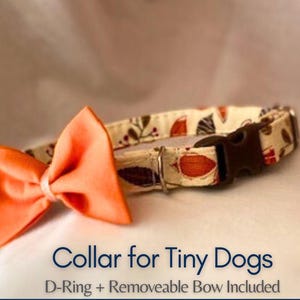 Fall Leaves Dog Collar Autumn for Tiny Breeds XXS - Tea Cup Puppy Accessory