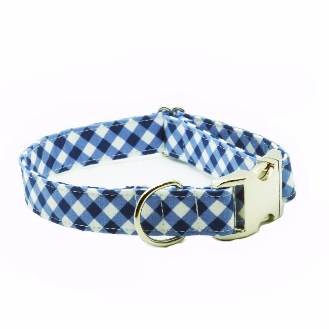 blue gingham dog collar
