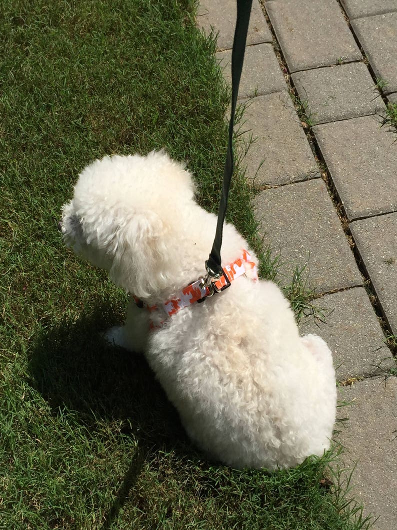 Dog Harness Small Dog Dog Harness Instructions Dog Harness Etsy