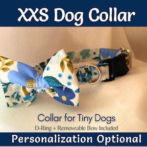 XXS Floral Blue Dog Collar Gold – Perfect Accessory for Tiny Breeds and Tea Cup Puppies