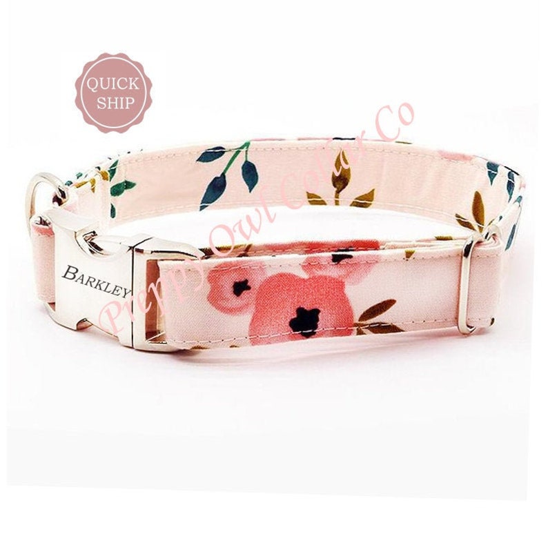 Dog Collar Personalized Dog Collar Girl Small Puppy Dog Etsy