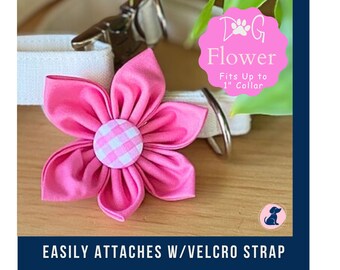 Dog Collar Flowers