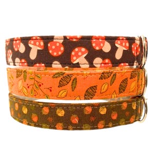 Fall Dog Collar, Mushroom Dog Collar, Autumn Dog Collars, Acorn Leaves Dog Collars