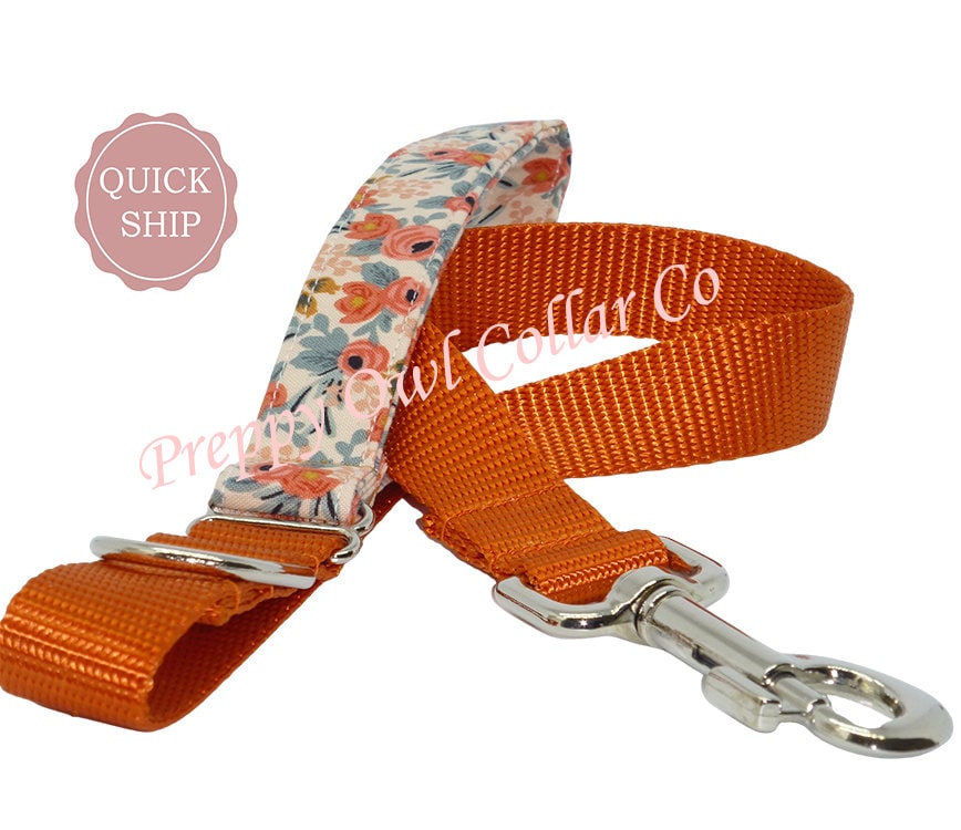 Leash for Girl Dog Leash and Dog Collar Large Dog Leash Etsy