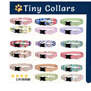 XS Dog Collars for Tiny Dogs, Little Dog Collar, Tiny Dog Breed Collar, Small Dog Collar Boy, Girl