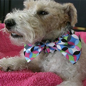 Dog Bow Tie Dog Collar, Instant Download Sewing Tutorial Pet Bow Tie, Learn How to Make this Perfect Dog Collar Accessory, Sewing Pattern image 3