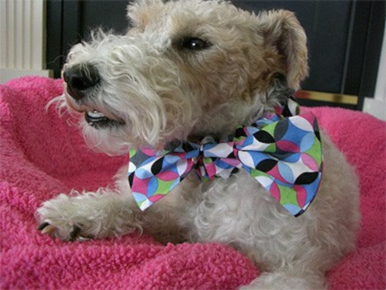 Dog Bow Tie Dog Collar, Instant Download Sewing Tutorial Pet Bow Tie, Learn How to Make this Perfect Dog Collar Accessory, Sewing Pattern image 3