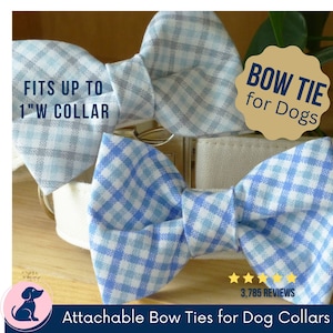 Boy Dog Bow Tie - Plaid Blue, Plaid Gray