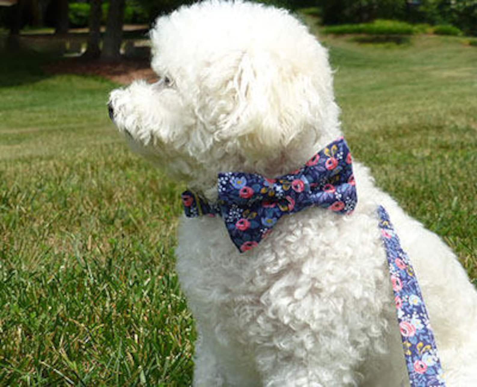 Dog Bow Tie Dog Collar Instant Download Sewing Tutorial Pet - Etsy Canada