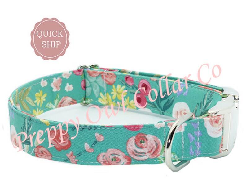Puppy Collar Girl Teal Dog Collar Toy Dog Collar Spring Dog Etsy