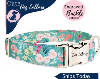 Puppy Collar Girl, Teal Dog Collar, Toy Dog Collar, Spring Dog Collar