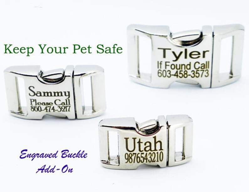 Laser Engraved Laser Dog Collar Tagless Dog Collar Etsy