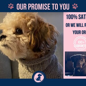 Tiny Dog Collar Valentine, Teacup Dog Collar, Thin Hearts Dog Collar, Dainty Dog Collar, Whelping Collar Love Notes image 10