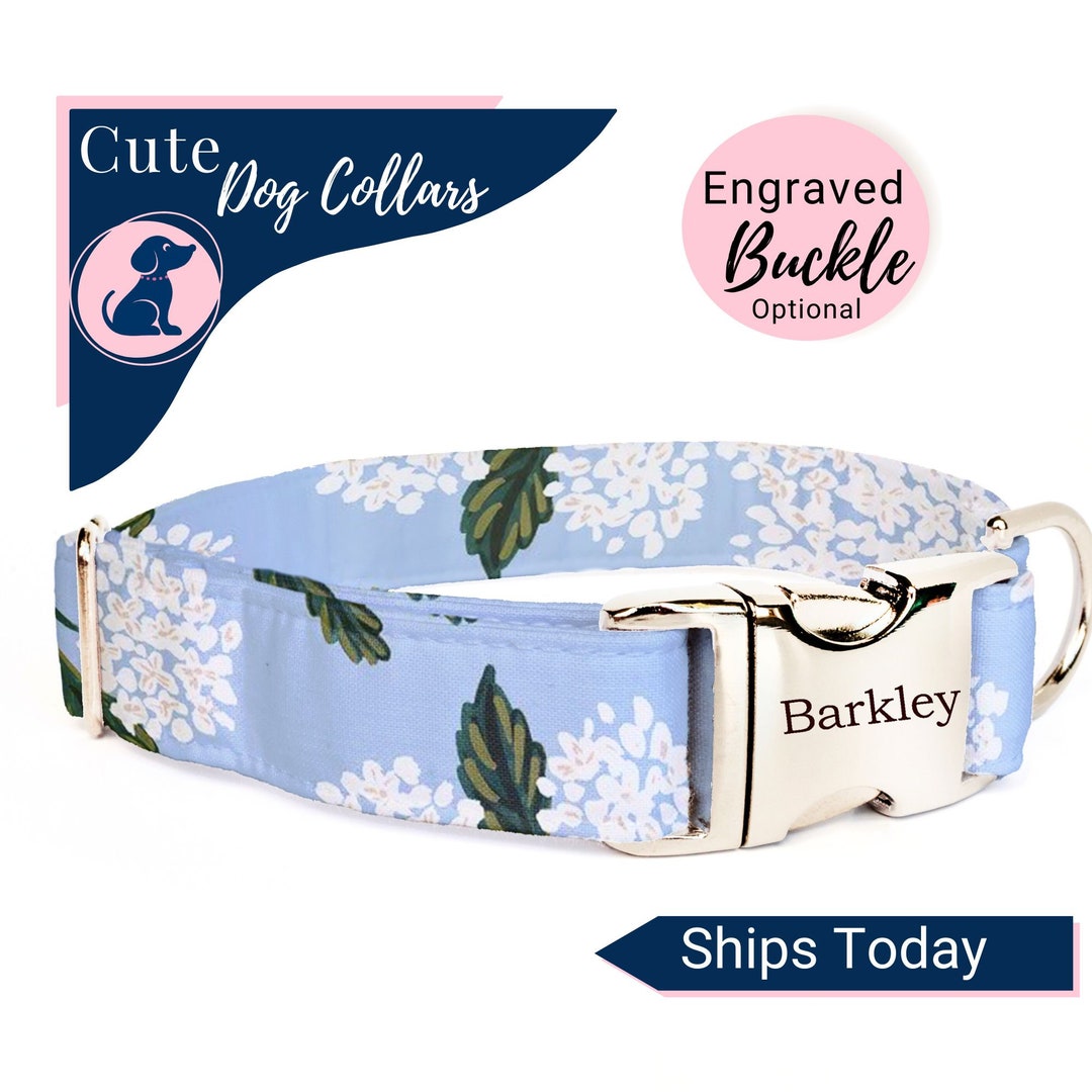 Lt Blue Floral Dog Collar Personalized, Floral Personalized Dog Collar ...