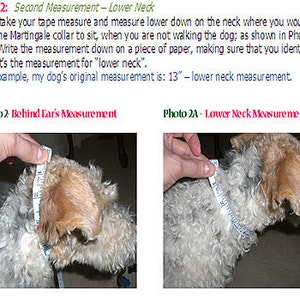 Martingale Dog Collar Pattern, DIY Dog Collars, How to Make Martingale Dog Collar image 4