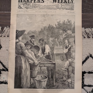May include: A vintage Harper's Weekly newspaper from August 15, 1891, with a black and white illustration of people harvesting apples. The headline reads "Journal of Civilization."
