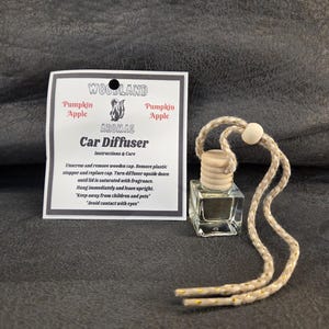 Pumpkin Apple Car Diffuser | Fall Air Freshener Hanging Rearview Mirror Charm | Autumn Automobile Scent Woodland Aromas Oil Gift