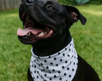 Ace of Spades Dog Bandana, White & Black, Over the Collar