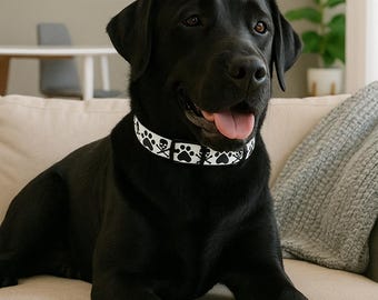 Cool Pet Collar with Skull and Paw Prints, Unique Dog Gear, Edgy Dog Accessory, Stylish Pet Collar, Halloween Dog Accessories