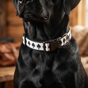 Clip-on pour animal de compagnie à motif As de pique | Tailleur cartonné, réglable