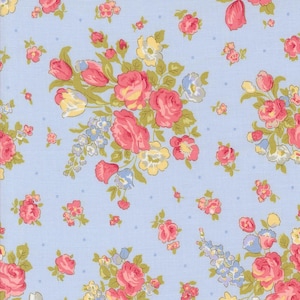 Memory Lane...Sky 18780 16...Brenda Riddle of Acorn Quilt Company...Moda Fabrics