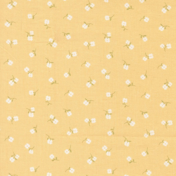 Pastel Prairie...31785 13 afternoon...Heather Briggs of My Sew Quilty Life...Moda Fabrics