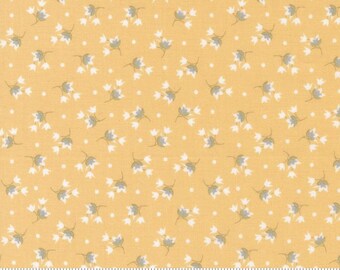 Buttercup & Slate Goldenrod 29154 12 by Corey Yoder of Coriander Quilts for Moda Fabrics