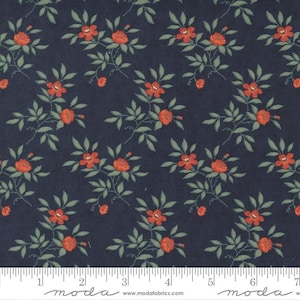 Rendezvous Nightshade 44304 19 by 3 Sisters for Moda Fabrics
