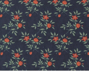 Rendezvous Nightshade 44304 19 by 3 Sisters for Moda Fabrics