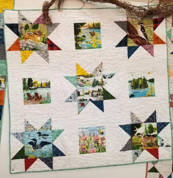 Sunday Afternoon kit...designed by Mickey Zimmer...featuring 2024 Quilt Minnesota Shop Hop fabrics