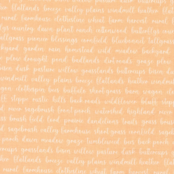 Pastel Prairie...31784 19 Apricot...Heather Briggs of My Sew Quilty Life...Moda Fabrics