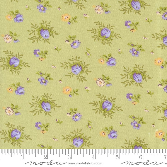 Georgia...Willow 18771 13..Brenda Riddle of Acorn Quilt Company...Moda Fabrics