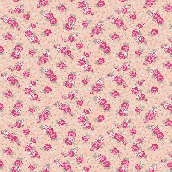 Precious Petites...C15832-CORAL...Gerri Robinson...Riley Blake Designs