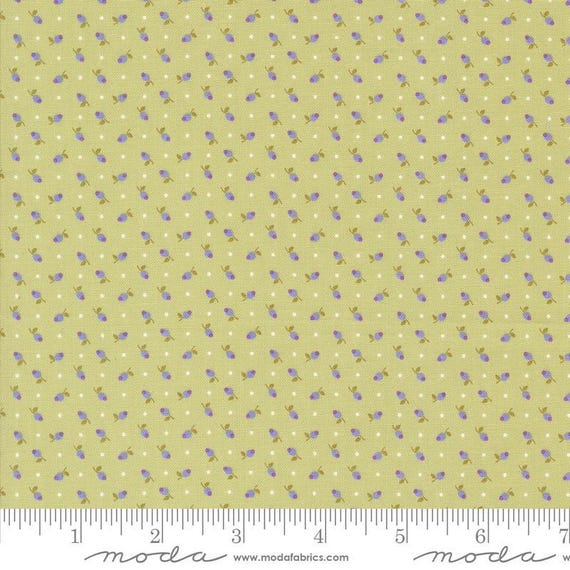 Georgia...Willow 18772 13..Brenda Riddle of Acorn Quilt Company...Moda Fabrics