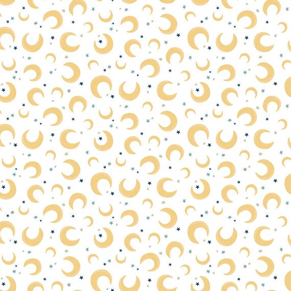 Baby Boy...C16762-WHITE...Lori Whitlock...Riley Blake Designs
