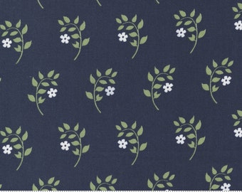 Dwell Homebody Navy 55271 12 by Camille Roskelley for Moda Fabrics