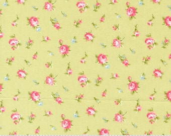 Ellie Green 18761 14 by Brenda Riddle of Acorn Quilt Company for Moda Fabrics