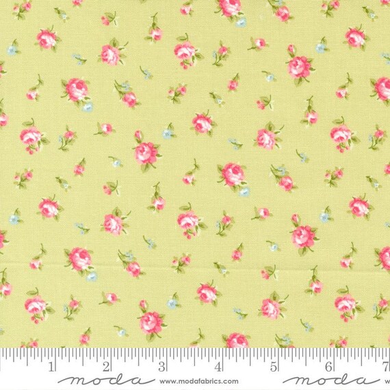 Ellie Green 18761 14 by Brenda Riddle of Acorn Quilt Company for Moda Fabrics