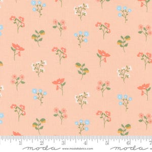 Dainty Meadow...Peachy 31741 17...Heather Briggs of My Sew Quilty Life...Moda Fabrics