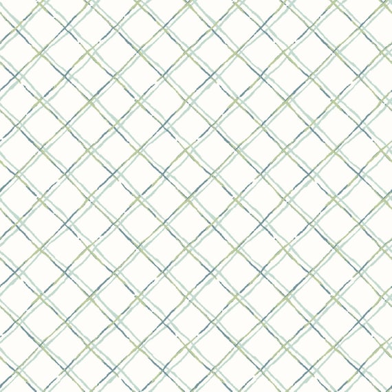 Terrace Blooms....MAS10825-BW...Blue/White...Plaid...Maywood Studio