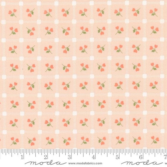 Dainty Meadow...Blush 31742 16...Heather Briggs of My Sew Quilty Life...Moda Fabrics